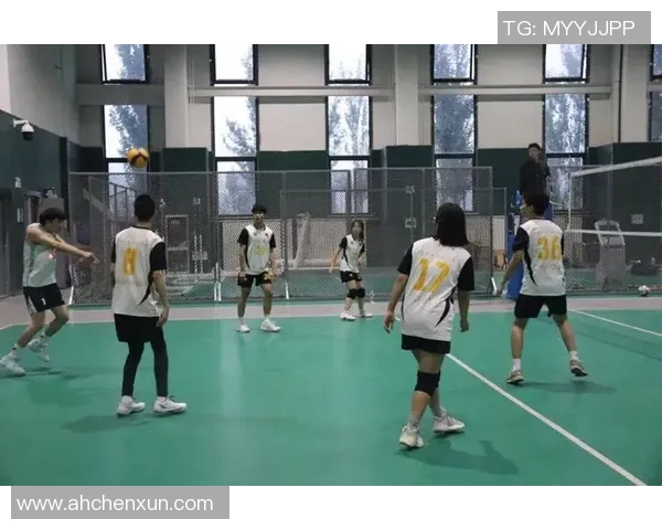 南京排球队的速度之美:探索快速攻防与团队协作的完美结合 南京排球队的速度之美:探索快速攻防与团队协作的完美结合