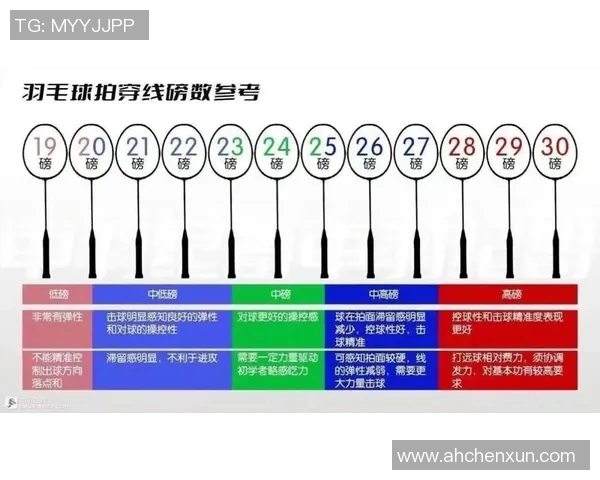 羽毛球装备选购指南:精选球拍推荐与购买技巧分享 羽毛球装备选购指南:精选球拍推荐与购买技巧分享