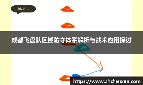 成都飞盘队区域防守体系解析与战术应用探讨