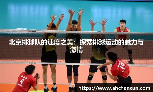 北京排球队的速度之美：探索排球运动的魅力与激情