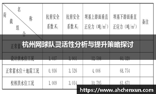 杭州网球队灵活性分析与提升策略探讨