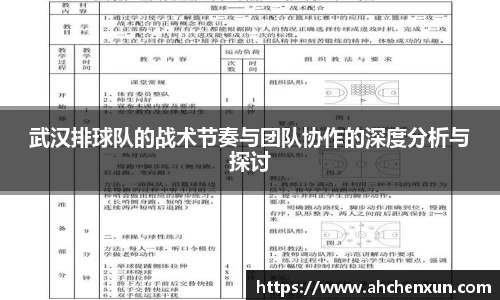 武汉排球队的战术节奏与团队协作的深度分析与探讨