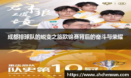 成都排球队的蜕变之旅欧锦赛背后的奋斗与荣耀