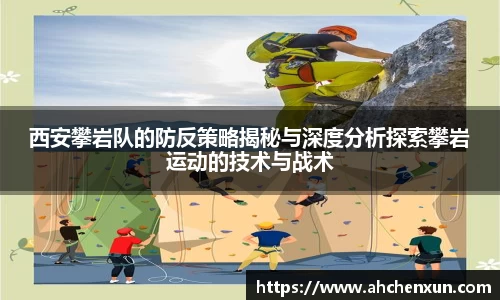 金年会